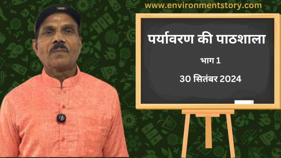 School of Environment What is real environment?